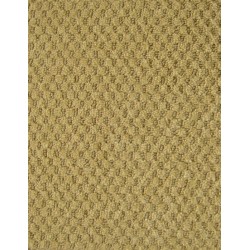 Golden Flax color swatch